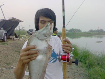 วังกลุ่ม 1 พิษณุโลก