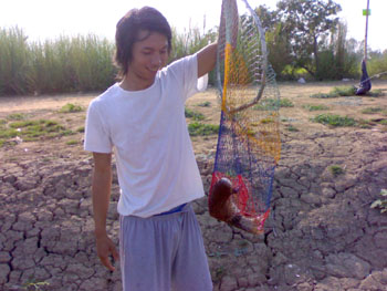 วังกลุ่ม 1 พิษณุโลก