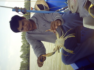 บางปะกง..วันวานยังหมานอยู่..ครับ