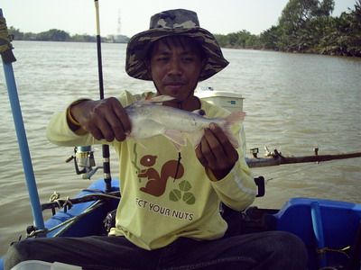 บางปะกง..วันวานยังหมานอยู่..ครับ