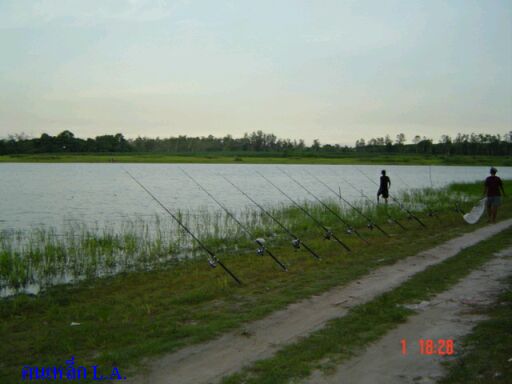 ทริพนี้ต้องเหมารถกลับ