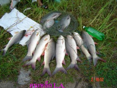 ทริพนี้ต้องเหมารถกลับ