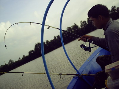 เรือจิ๋ว...กับม้ากิ่วบางปะกง