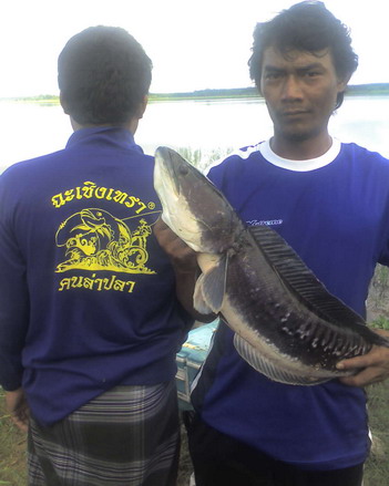 3ทริปซ้อนระยอง...ฮิ
