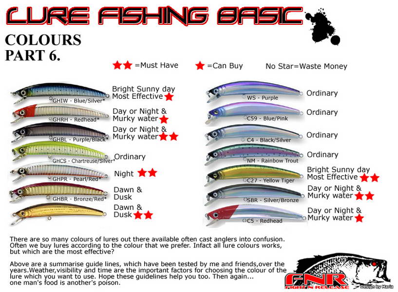 Lure Fishing Basic Guide