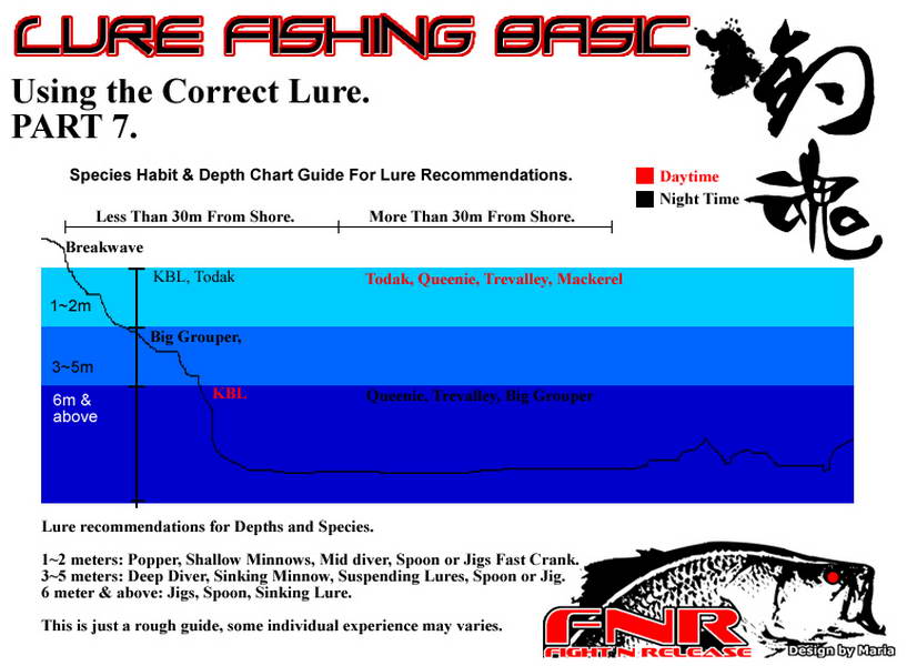 Lure Fishing Basic Guide