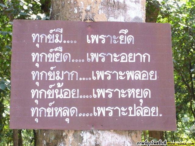 กระสูบ 600 .....แห่งเขื่อนศรีฯ