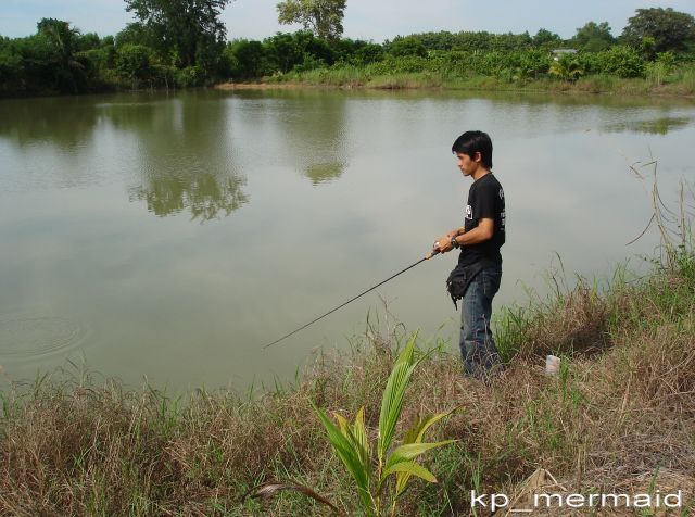 ช่อนแอบตายในบ่อเปคู