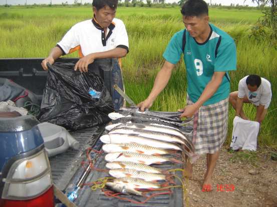 หมายธรรมชาติ 300 ไร่ สุวินทวงษ์