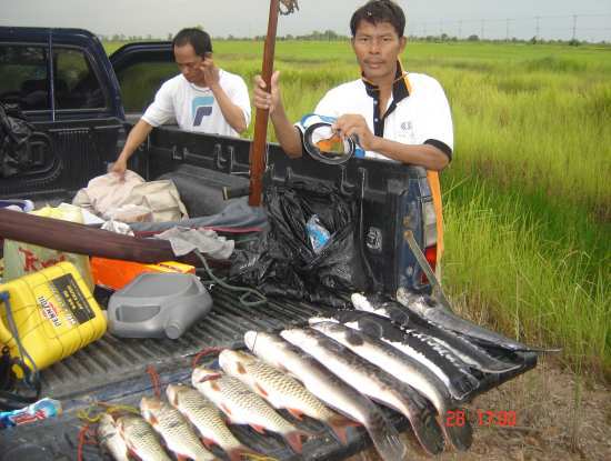 หมายธรรมชาติ 300 ไร่ สุวินทวงษ์