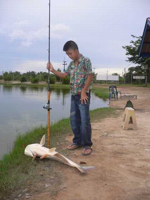 ปลาบึกบ่อเอก จังหวัดจันทบุรี