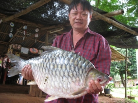 ไปตกสูบเขื่อนศรีฯ