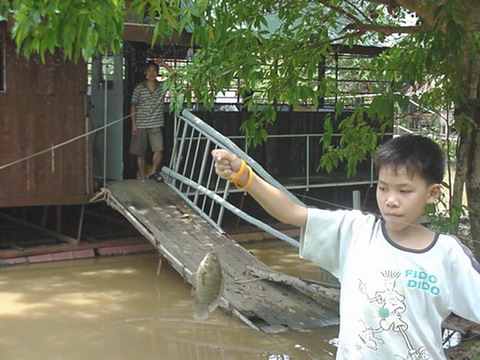 ปลาตัวแรกในชีวิตนักตกปลาของผม