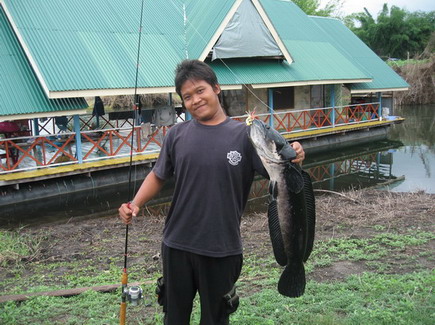 ตกได้ที่แพลูกหมู