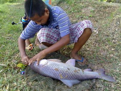 กระโห้ บ่ออุทัยฟิชชิ่ง