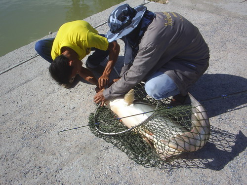 ตะเคี้ยนเตี้ยFishing อีกครั้ง