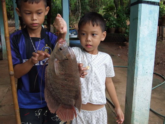 ปลาเเรดแม่น้ำปราจีนบุรี