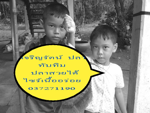 ปลาเเรดแม่น้ำปราจีนบุรี