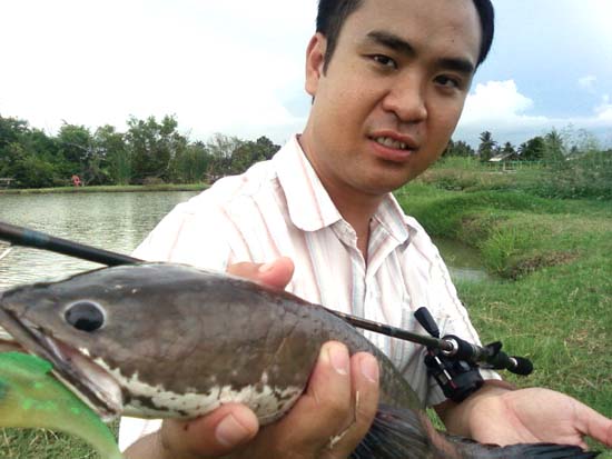 ปลาบึกตัวใหญ่ที่สุดในโลก