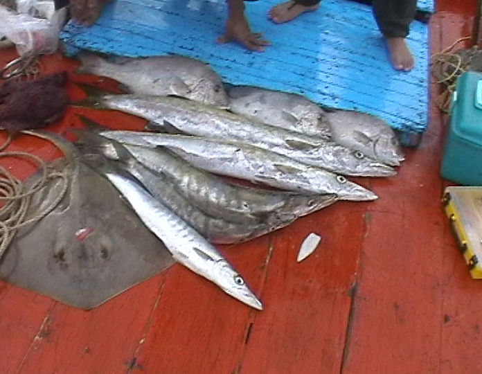 ทริพแรก  กับหมายกองหินเทียม  ชะอำ