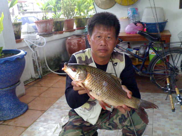 มนต์เสน่ห์..แห่งสะปิ๋ว
