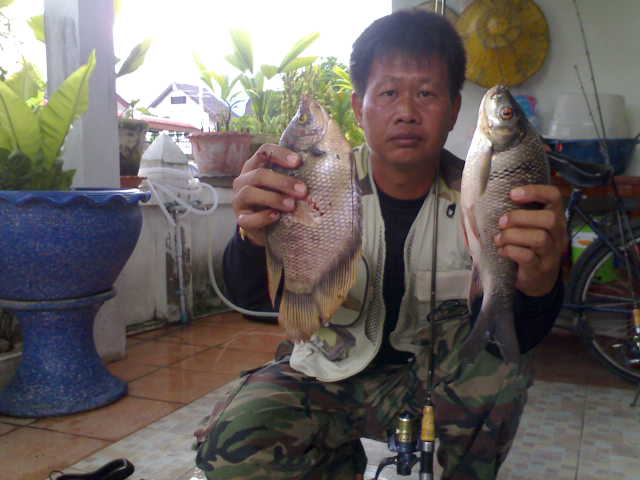มนต์เสน่ห์..แห่งสะปิ๋ว