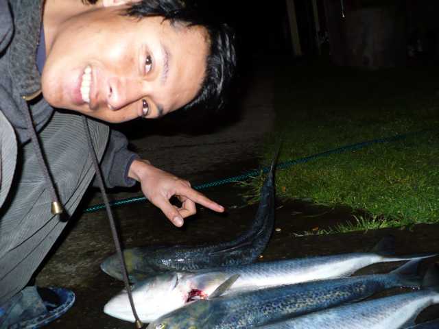 ตกปลาคาวาย  ที่นิวซ๊แลนด์
