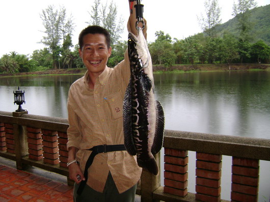  หมายชะโดส่วนตั๋ว  ส่วนตัว