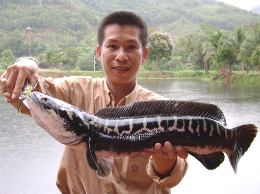  หมายชะโดส่วนตั๋ว  ส่วนตัว