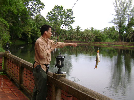  หมายชะโดส่วนตั๋ว  ส่วนตัว