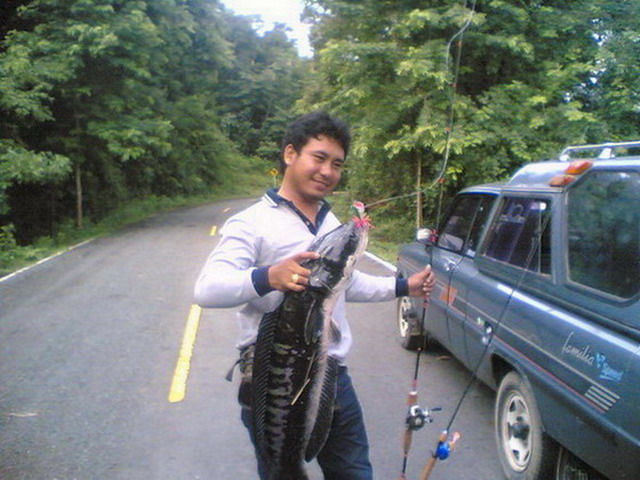  KN  Fishing  อุตรดิตถ์