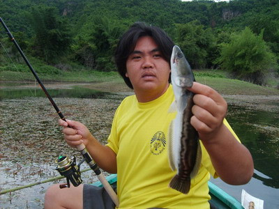 ธรรมชาติแท้ๆที่แพนันทนา เขื่อนศรีนครินทร์