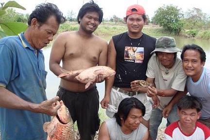 สมาชิกใหม่ฝากตัวด้วยนะคับ