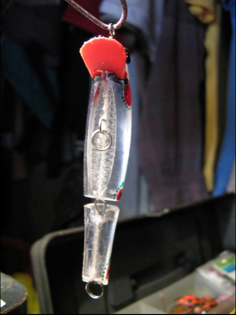 หัดทำปลาใสเห็นเนื้อในเลย