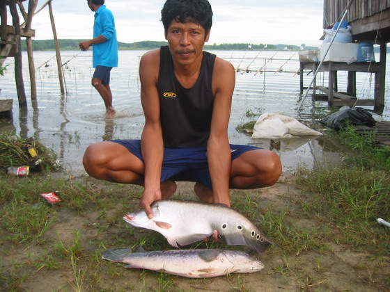 สิ้นแสงตะวัน ณ.อ่างดอกกราย(ที่นี้ ประเทศไทย ภาค 5)