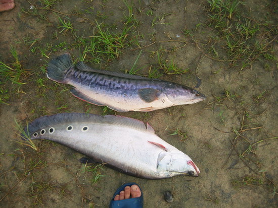 สิ้นแสงตะวัน ณ.อ่างดอกกราย(ที่นี้ ประเทศไทย ภาค 5)