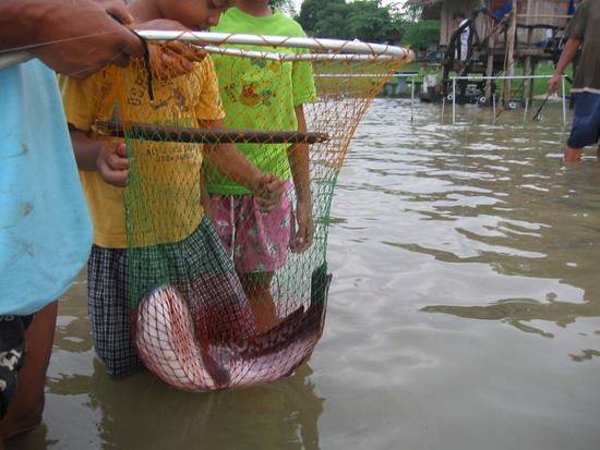สิ้นแสงตะวัน ณ.อ่างดอกกราย(ที่นี้ ประเทศไทย ภาค 5)