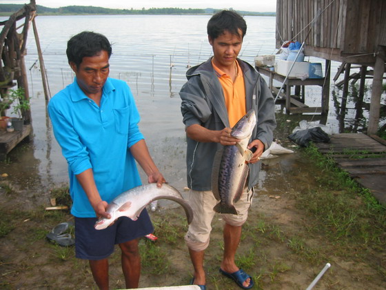 สิ้นแสงตะวัน ณ.อ่างดอกกราย(ที่นี้ ประเทศไทย ภาค 5)