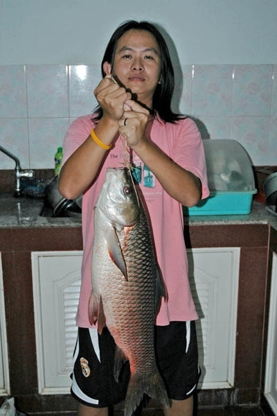 ยี่สก ณ กาฬสินธุ์