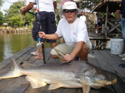ประมวณภาพ POWER  CRAZY   1