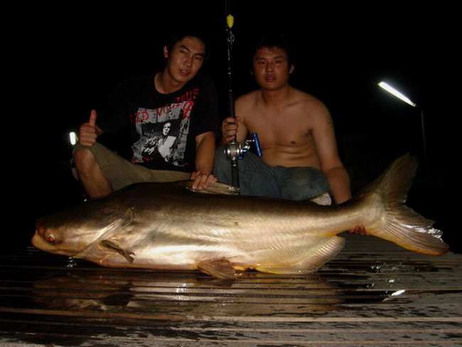 ประมวณภาพ POWER  CRAZY   1