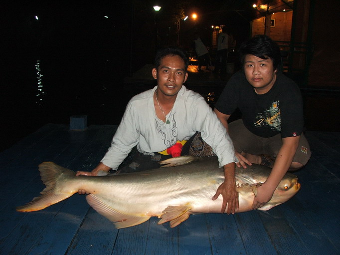 เข้าบึงมา
