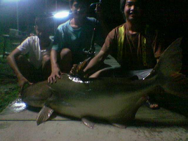 monster ที่เงาน้ำครับ