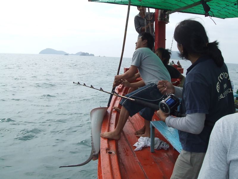 ตกปลาที่ช่องแสมสาร  " ไต๋แก๊ว " 26-27/10/2007