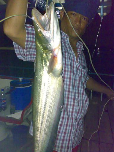 แพลุงสุรัตน์ บางไทร tel.0892329789