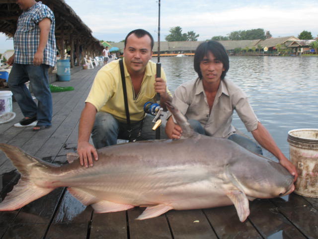 ฉลอง 400 บาท ครับ กับ 100 Kg กว่า