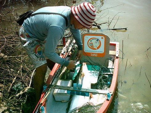 พายเรือไปตกปลาสวาย  ป่าสัก