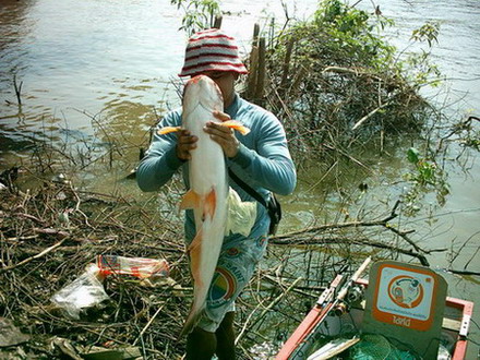 พายเรือไปตกปลาสวาย  ป่าสัก