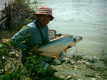 พายเรือไปตกปลาสวาย  ป่าสัก