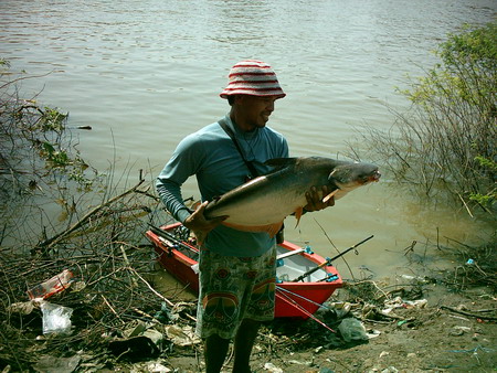 พายเรือไปตกปลาสวาย  ป่าสัก